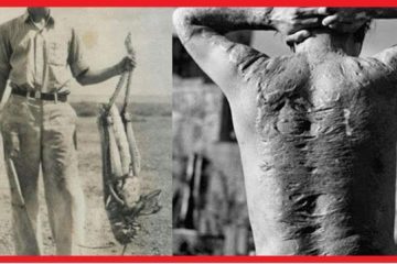 75 Rare Historical images you have to see before you Die