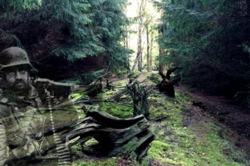 Berlin Woods are Still littered with WW2 Stuff