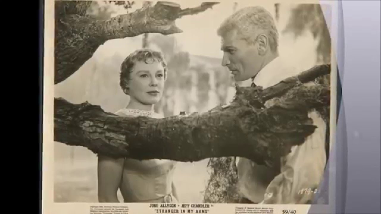 A Stranger In My Arms 1959 The Digital Archive