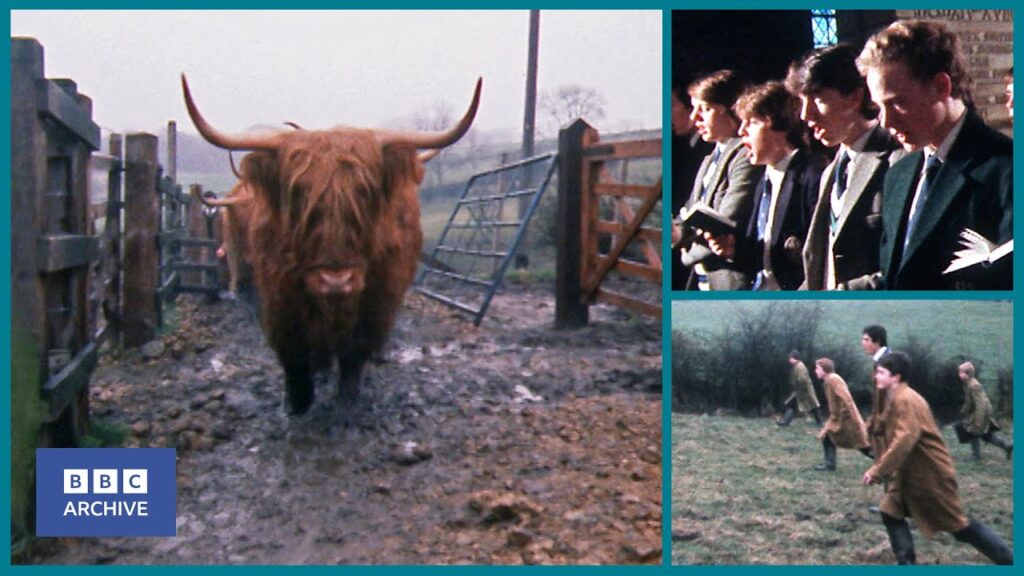 1981: The SCHOOL with HIGHLAND COWS on the CURRICULUM | Nationwide | Animal Magic | BBC Archive
