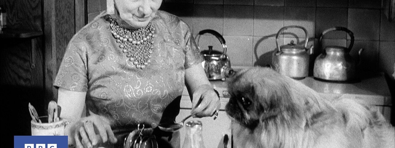 1960: Life in HAMPSTEAD | Monitor | Writers and Wordsmiths