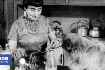 1960: Life in HAMPSTEAD | Monitor | Writers and Wordsmiths