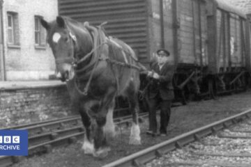 1962: The Last Railway Horses | Tonight